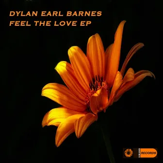 Feel the Love by Dylan Earl Barnes