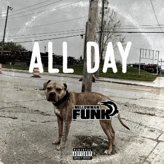 All Day by MellowMan Funk