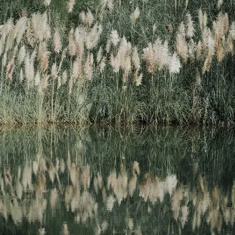 一个人看完所有风景 by 