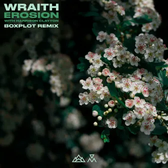 Erosion (Boxplot Remix) by Wraith