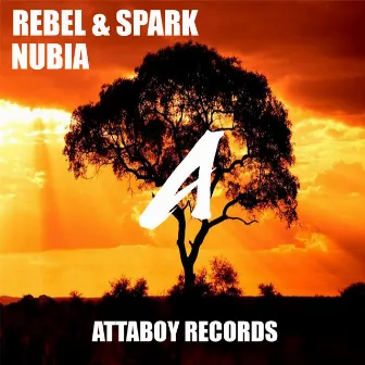 Nubia by Spark Official