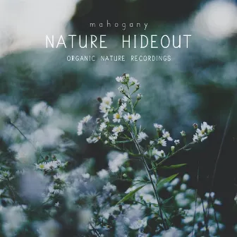 Nature Hideout by mahogany