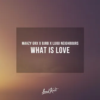 What Is Love by Luigi Neighbours