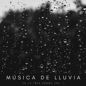 Música De Lluvia En La Fría Noche Vol. 1 by Ruidos de la Selva