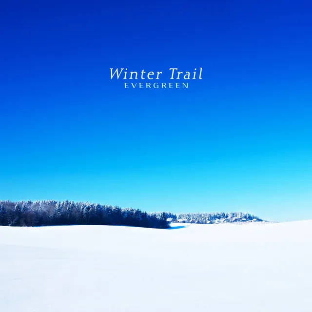 Winter Trail