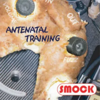 ANTENATAL TRAINING by Smock