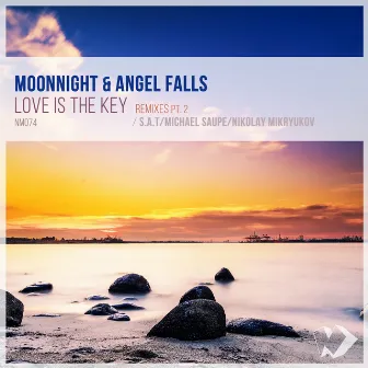 Love Is the Key: Remixes, Pt. 2 by Angel Falls