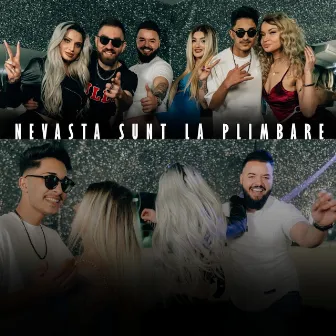 Nevasta Sunt la Plimbare by Tanu Music