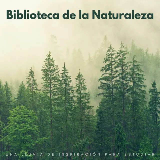 Biblioteca De La Naturaleza: Una Lluvia De Inspiración Para Estudiar