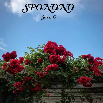 Sponono by Stress G