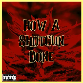 How a Shotgun Done by Call'em Bini