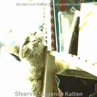 Sfeervol Slapende Katten by Muziek voor Katten Achtergrondmuziek