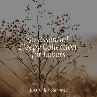 50 Essential Sleepy Collection for Lovers by Meditación Guiada