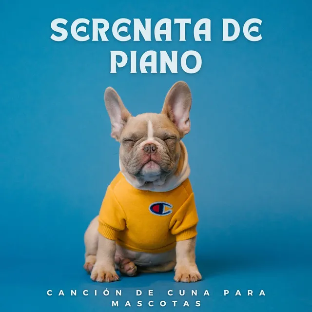 Música De Piano Para Recién Nacidos