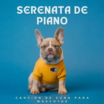 Serenata De Piano: Canción De Cuna Para Mascotas by Salón-bar de jazz