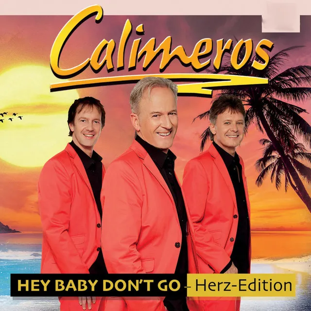 Hey Baby Don't Go (Herz Edition)