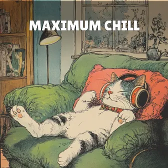 Maximum Chill by Unknown Artist