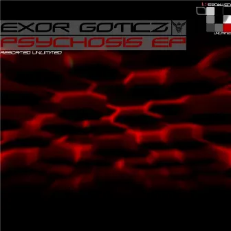 Psychosis by Exor Goticz