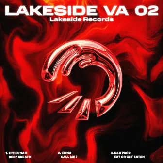 Lakeside VA - 02 by Lakeside Basement