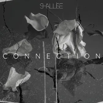 Connection by Shallise