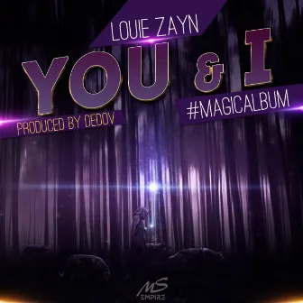 You & I by Louie Zayn