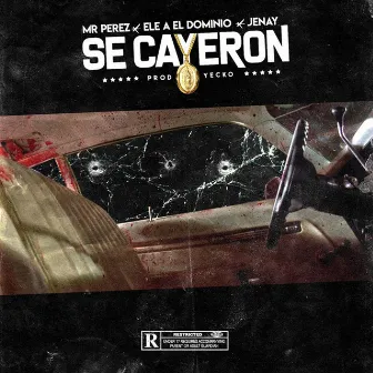 Se Cayeron by Jenay