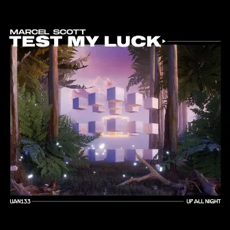 Test My Luck by Marcel Scott