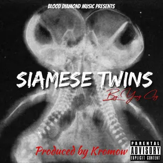 Siamese Twins by Yung City