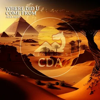 Where Did U Come From by Deep House Cafe De Anatolia Music