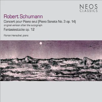 Robert Schumann: Concert pour piano seul - Piano Sonata No. 3, Op. 14 - Fantasiestücke by Florian Henschel