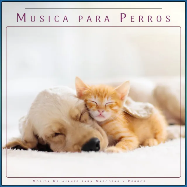 Musica para Perros: Música Relajante para Mascotas y Perros