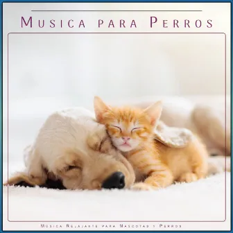 Musica para Perros: Música Relajante para Mascotas y Perros by Ansiedad De Los Perros