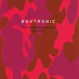 The Working Model (Reverse) by Boytronic