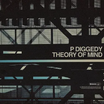 Theory Of Mind by P DIGGEDY