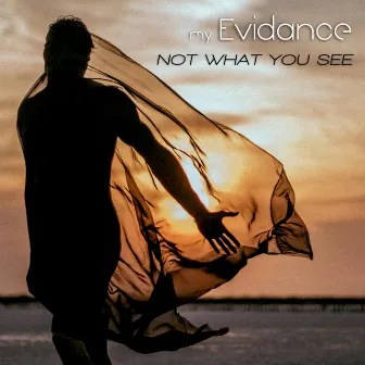 Not what You See by My Evidance