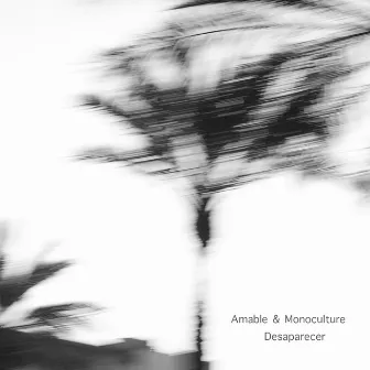 Desaparecer by Amable & Monoculture