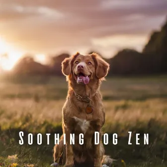 Soothing Dog Zen: Mellow Lofi Tunes with Ambient Sounds by Chill Hop Playlist