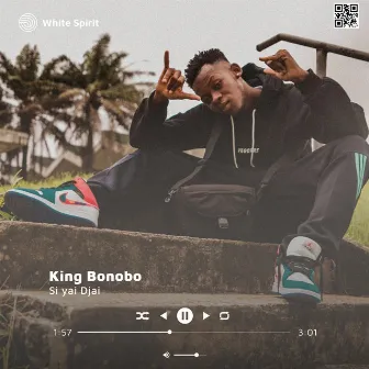 Si yai djai by King Bonobo