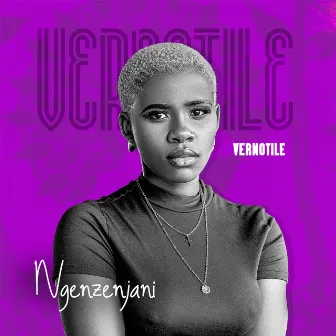 Ngenzenjani by Vernotile