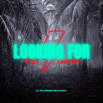 Looking For by Cash Bino