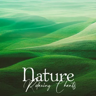 Nature Relaxing Chants – Soothing Green Noise, Sweet Bird Sing, Dreamy Tropical Forest Ambience by New Age Naturist