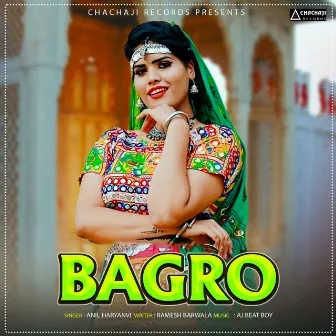 Bagro by Anil Haryanvi