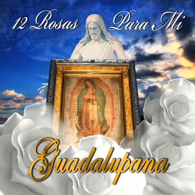 12 Rosas Para Mi Guadalupana