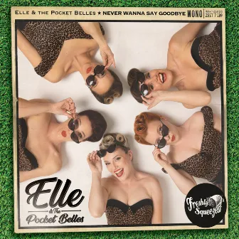 Never Wanna Say Goodbye by Elle & The Pocket Belles