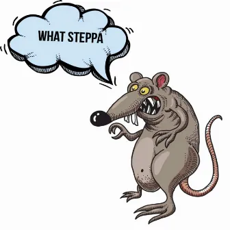 What Steppa by Big Sheem