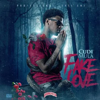 Fake Love by Cudi Mula