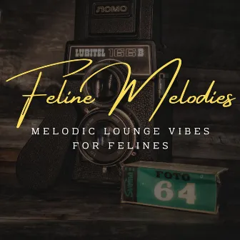 Feline Melodies: Coffee Lounge Jazz for Curious Cats by Joyce Trio