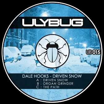 Driven Snow by Dale Hooks