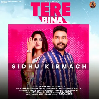 Tere Bina by Rajkumar Singh