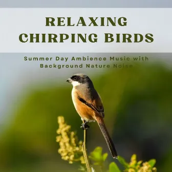 Relaxing Chirping Birds: Summer Day Ambience Music with Background Nature Noise by Unknown Artist